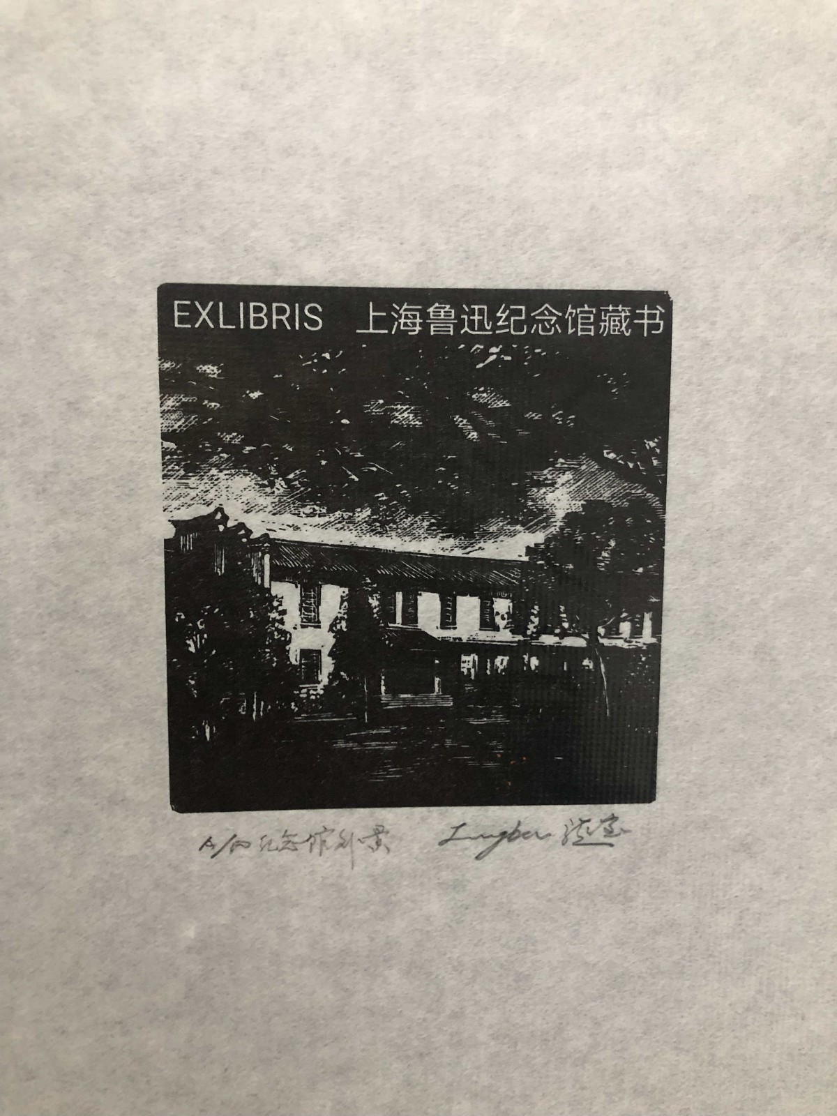 1669082203124764.jpg